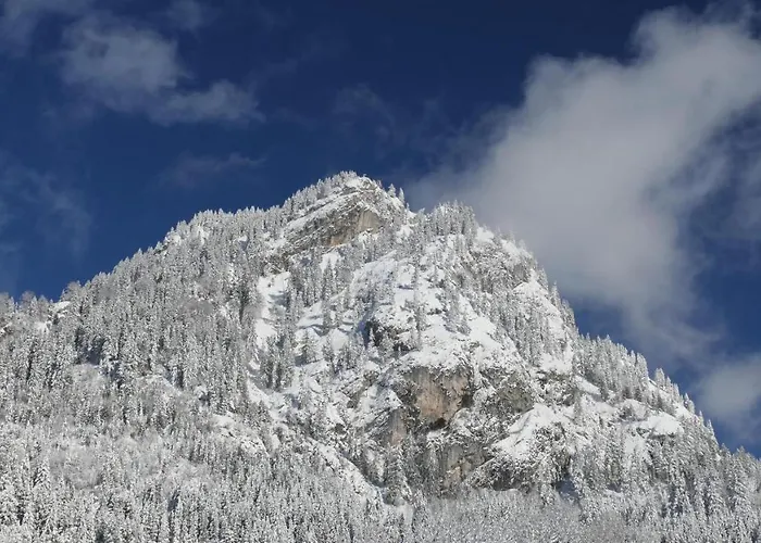 Am Hirschberg * Bad Hindelang